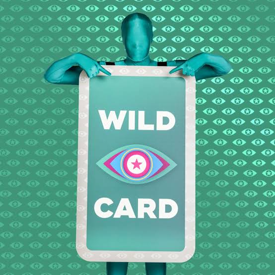 Promi Big Brother — Wild Card